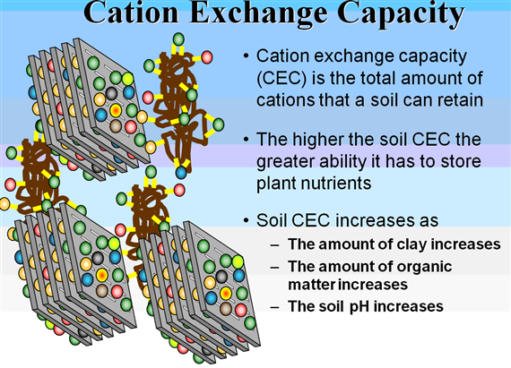 Cation exchange capacity ec