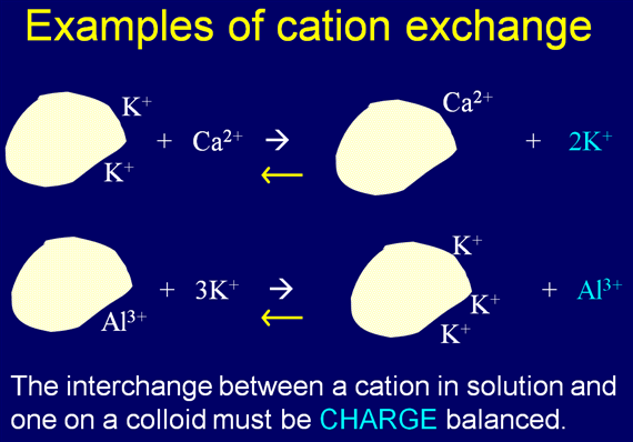 cation exchange examples