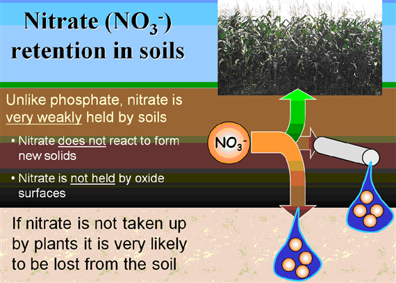 Nitrate retention