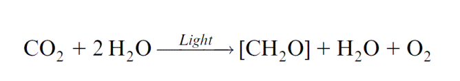 equation redox